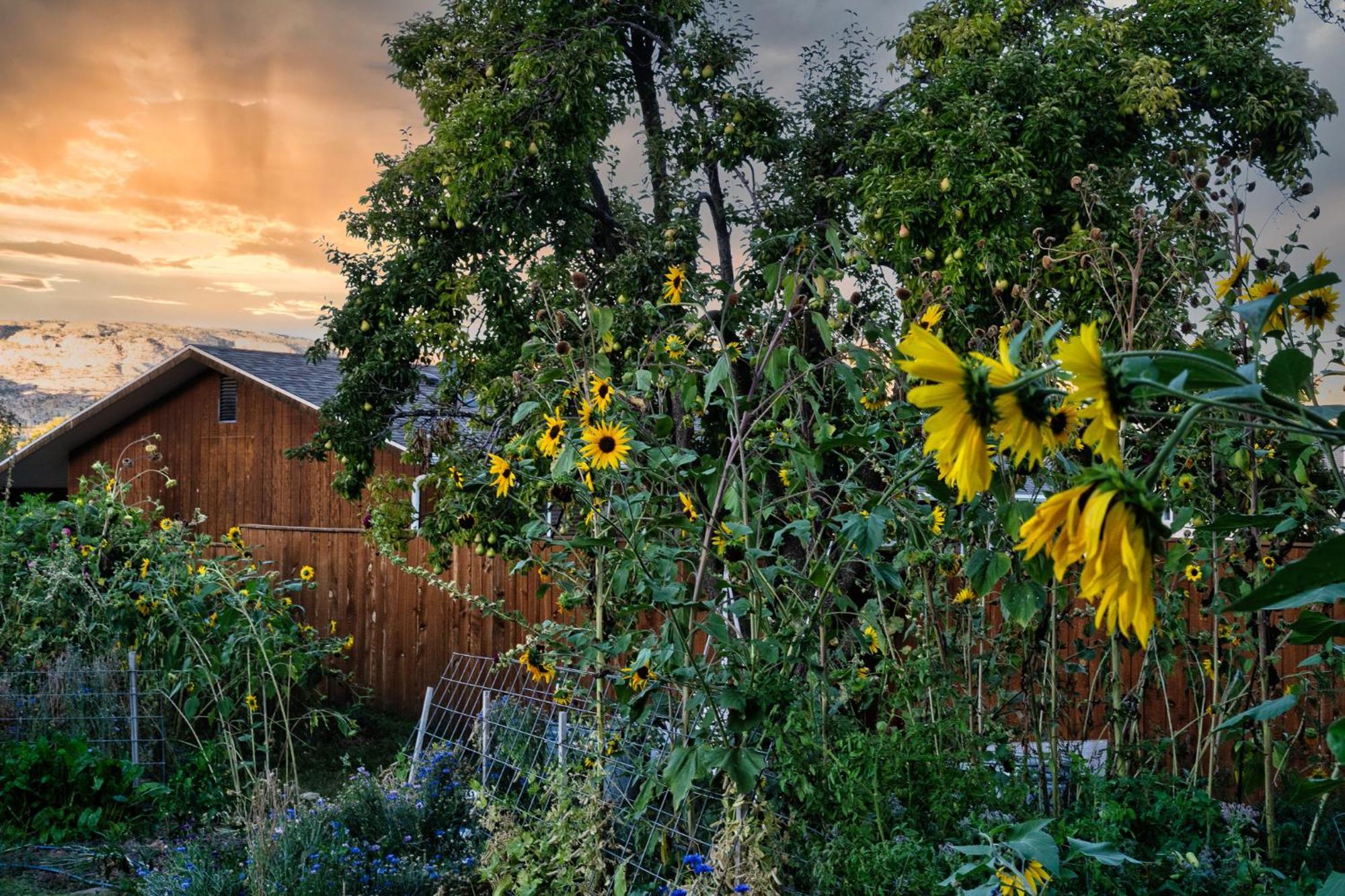 The Loubird Inn Escalante Exterior photo